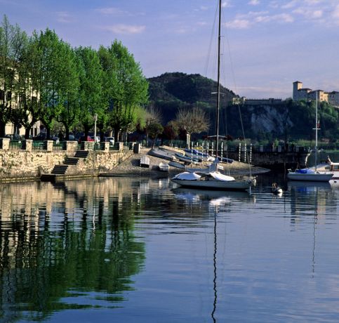 arona taiyo