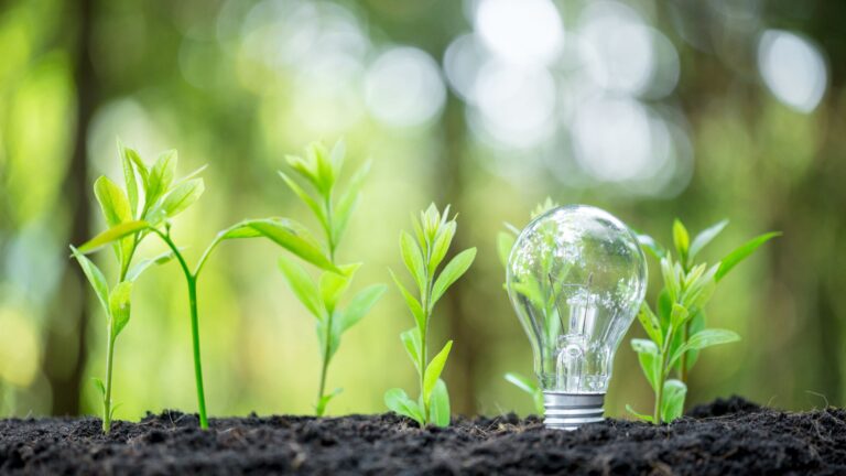 Light bulb with young green plants growing from soil, symbolizing renewable energy, sustainability, and green innovation – Taiyo Holding 2025